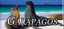 Galapagos Cruise Information